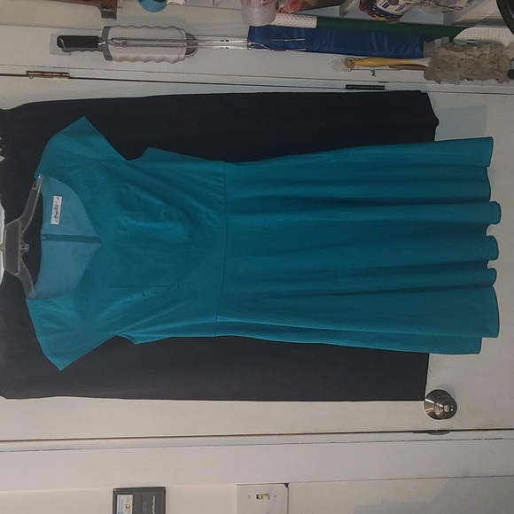 Nwot Vintage style dress - Picture 1 of 8